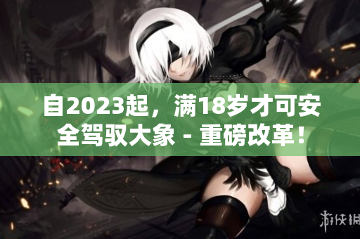 自2023起，滿18歲才可安全駕馭大象 - 重磅改革！