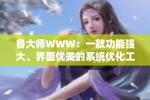 魯大師WWW：一款功能強(qiáng)大、界面優(yōu)美的系統(tǒng)優(yōu)化工具