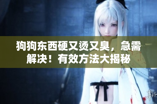 狗狗東西硬又燙又臭，急需解決！有效方法大揭秘