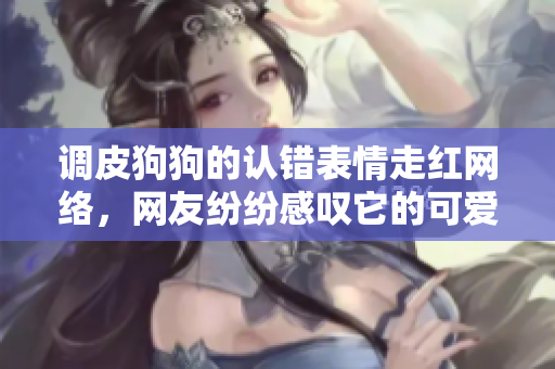 調(diào)皮狗狗的認(rèn)錯表情走紅網(wǎng)絡(luò)，網(wǎng)友紛紛感嘆它的可愛