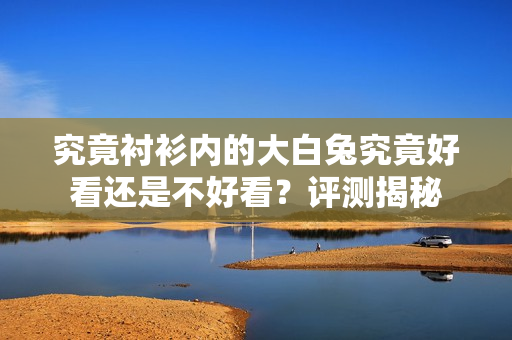 究竟襯衫內(nèi)的大白兔究竟好看還是不好看？評(píng)測(cè)揭秘