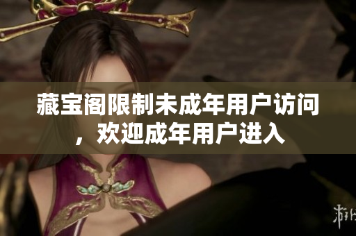 藏寶閣限制未成年用戶訪問(wèn)，歡迎成年用戶進(jìn)入
