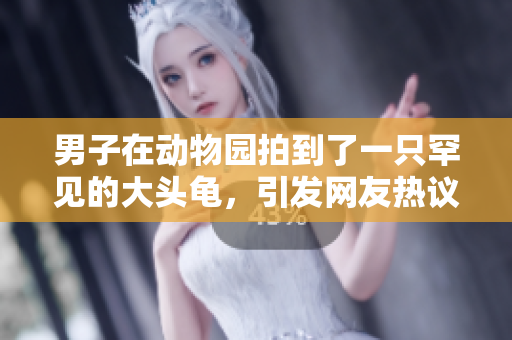 男子在動物園拍到了一只罕見的大頭龜，引發(fā)網(wǎng)友熱議