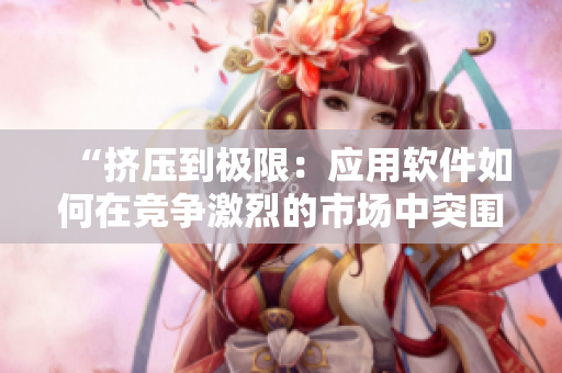 “擠壓到極限：應(yīng)用軟件如何在競爭激烈的市場中突圍？”