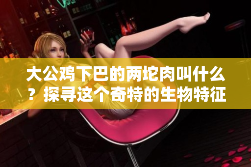 大公雞下巴的兩坨肉叫什么？探尋這個(gè)奇特的生物特征