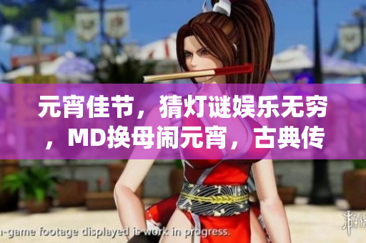 元宵佳節(jié)，猜燈謎娛樂(lè)無(wú)窮，MD換母鬧元宵，古典傳統(tǒng)重現(xiàn)風(fēng)采