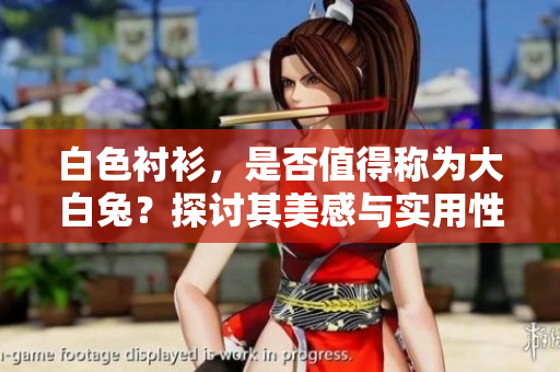 白色襯衫，是否值得稱為大白兔？探討其美感與實(shí)用性