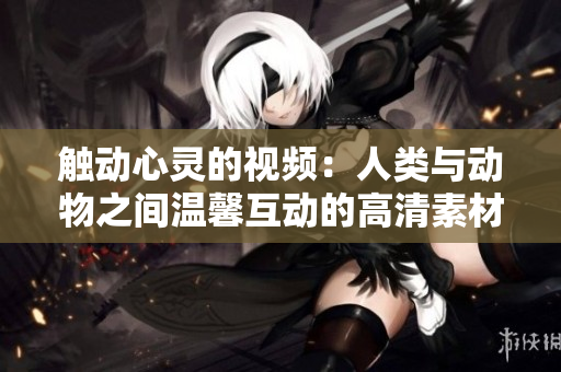 觸動心靈的視頻：人類與動物之間溫馨互動的高清素材！