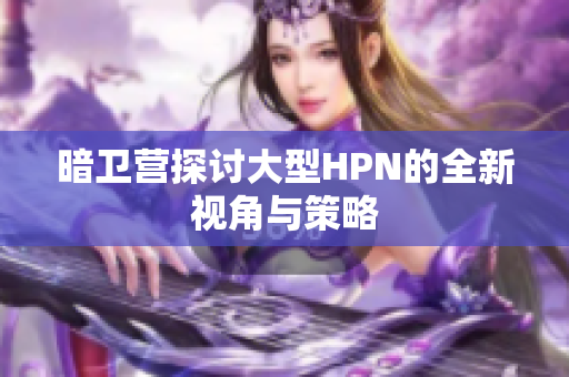 暗衛(wèi)營(yíng)探討大型HPN的全新視角與策略