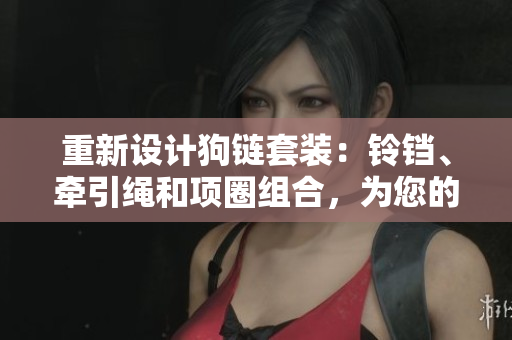 重新設(shè)計(jì)狗鏈套裝：鈴鐺、牽引繩和項(xiàng)圈組合，為您的寵物提供舒適與安全