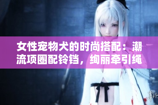 女性寵物犬的時(shí)尚搭配：潮流項(xiàng)圈配鈴鐺，絢麗牽引繩伴你漫步