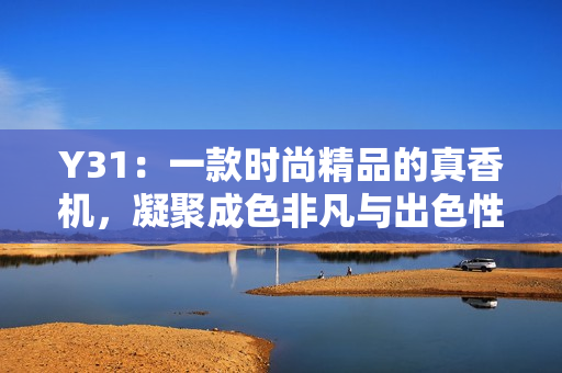 Y31：一款時(shí)尚精品的真香機(jī)，凝聚成色非凡與出色性能