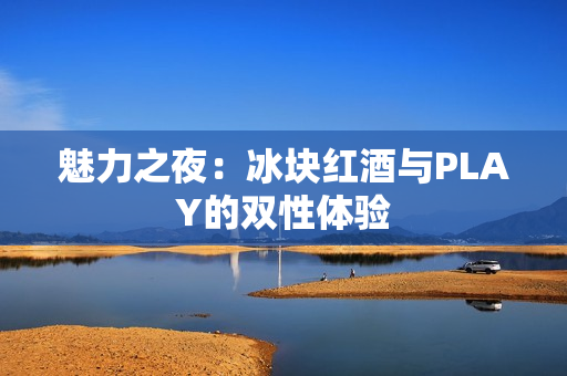 魅力之夜：冰塊紅酒與PLAY的雙性體驗(yàn)