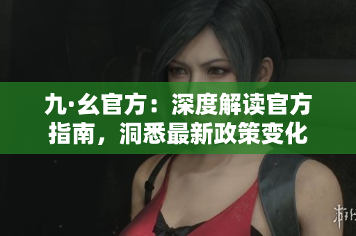 九·幺官方：深度解讀官方指南，洞悉最新政策變化