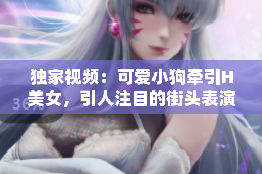 獨(dú)家視頻：可愛(ài)小狗牽引H美女，引人注目的街頭表演