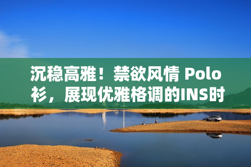 沉穩(wěn)高雅！禁欲風情 Polo 衫，展現優(yōu)雅格調的INS時尚
