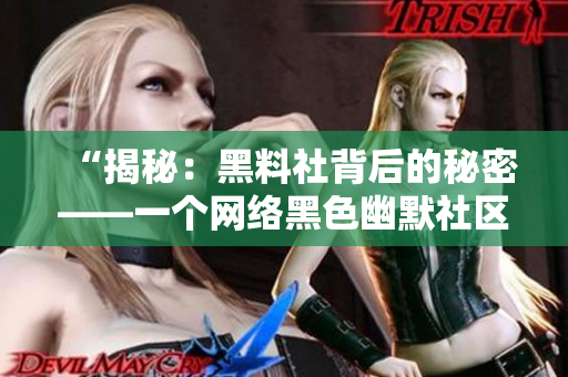 “揭秘：黑料社背后的秘密——一個(gè)網(wǎng)絡(luò)黑色幽默社區(qū)的興起與運(yùn)作”