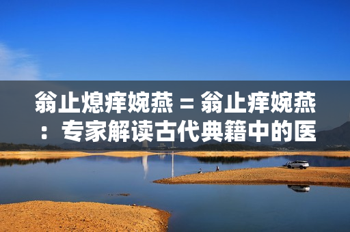 翁止熄癢婉燕 = 翁止癢婉燕：專家解讀古代典籍中的醫(yī)學秘方