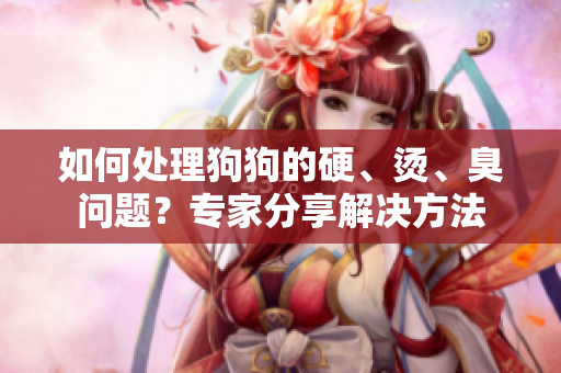 如何處理狗狗的硬、燙、臭問題？專家分享解決方法