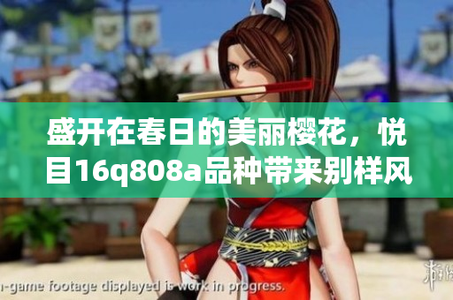 盛開在春日的美麗櫻花，悅目16q808a品種帶來別樣風(fēng)采