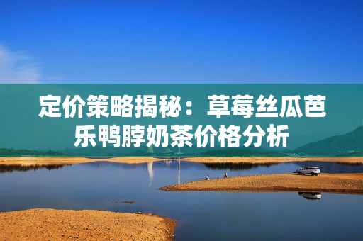 定價(jià)策略揭秘：草莓絲瓜芭樂鴨脖奶茶價(jià)格分析