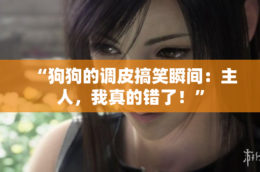 “狗狗的調(diào)皮搞笑瞬間：主人，我真的錯了！”