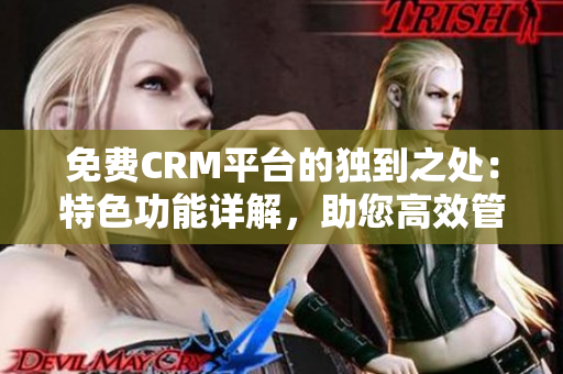 免費(fèi)CRM平臺(tái)的獨(dú)到之處：特色功能詳解，助您高效管理客戶關(guān)系