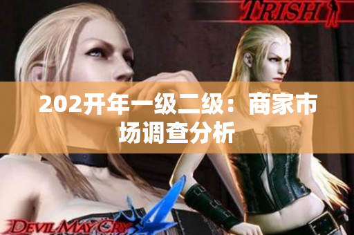 202開年一級(jí)二級(jí)：商家市場(chǎng)調(diào)查分析