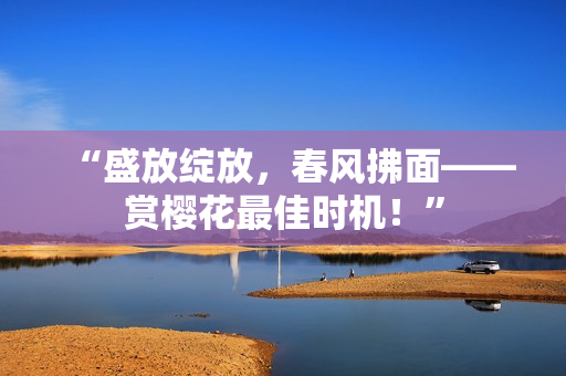 “盛放綻放，春風拂面——賞櫻花最佳時機！”