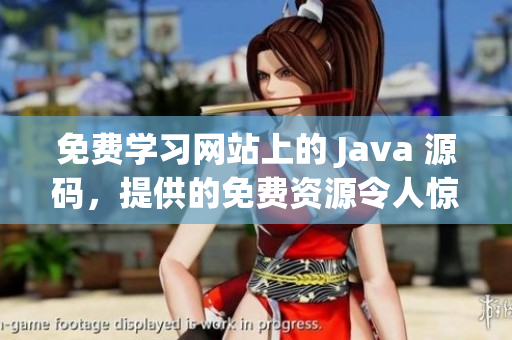 免費(fèi)學(xué)習(xí)網(wǎng)站上的 Java 源碼，提供的免費(fèi)資源令人驚嘆