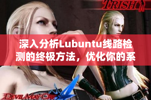 深入分析Lubuntu線路檢測的終極方法，優(yōu)化你的系統性能