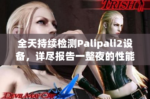 全天持續(xù)檢測(cè)Palipali2設(shè)備，詳盡報(bào)告一整夜的性能表現(xiàn)