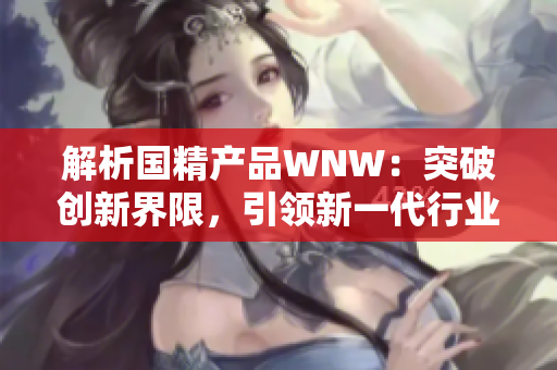 解析國(guó)精產(chǎn)品WNW：突破創(chuàng)新界限，引領(lǐng)新一代行業(yè)潮流