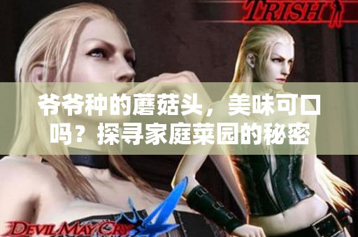 爺爺種的蘑菇頭，美味可口嗎？探尋家庭菜園的秘密