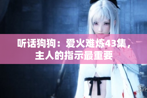 聽話狗狗：愛火難煉43集，主人的指示最重要