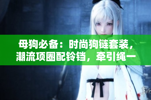 母狗必備：時(shí)尚狗鏈套裝，潮流項(xiàng)圈配鈴鐺，牽引繩一應(yīng)俱全