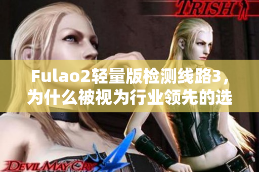 Fulao2輕量版檢測線路3，為什么被視為行業(yè)領(lǐng)先的選擇？
