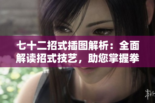 七十二招式插圖解析：全面解讀招式技藝，助您掌握拳法精髓！