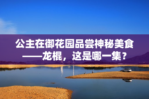 公主在御花園品嘗神秘美食——龍棍，這是哪一集？