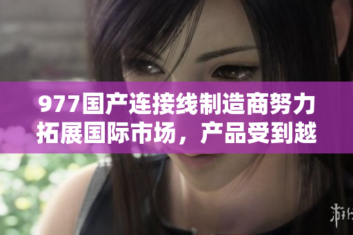 977國產(chǎn)連接線制造商努力拓展國際市場，產(chǎn)品受到越來越多用戶的青睞