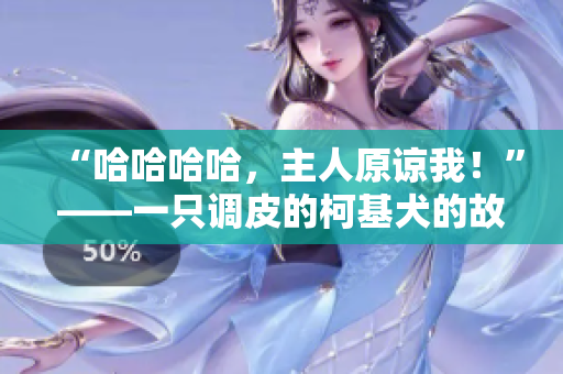 “哈哈哈哈，主人原諒我！”——一只調(diào)皮的柯基犬的故事