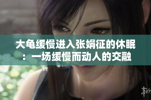 大龜緩慢進(jìn)入張娟征的休眠：一場(chǎng)緩慢而動(dòng)人的交融
