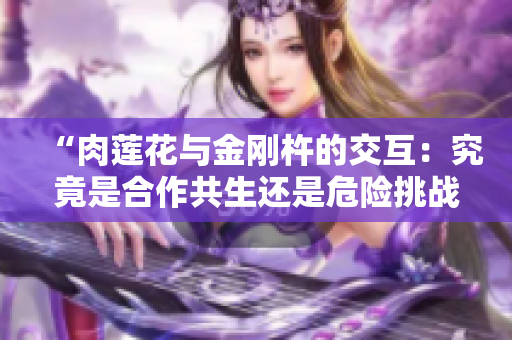 “肉蓮花與金剛杵的交互：究竟是合作共生還是危險(xiǎn)挑戰(zhàn)？”