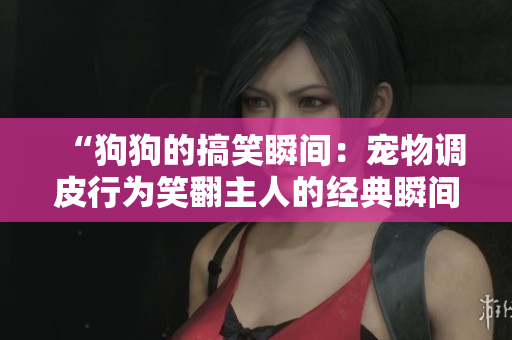 “狗狗的搞笑瞬間：寵物調(diào)皮行為笑翻主人的經(jīng)典瞬間！”