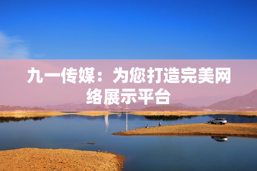 九一傳媒：為您打造完美網(wǎng)絡展示平臺