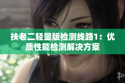 扶老二輕量版檢測(cè)線路1：優(yōu)質(zhì)性能檢測(cè)解決方案