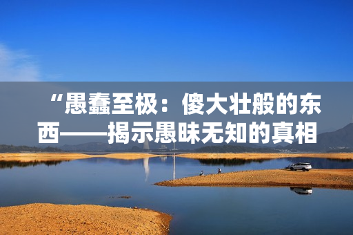 “愚蠢至極：傻大壯般的東西——揭示愚昧無知的真相！”