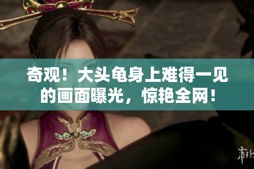 奇觀！大頭龜身上難得一見(jiàn)的畫(huà)面曝光，驚艷全網(wǎng)！