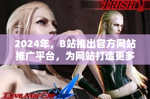 2024年，B站推出官方網(wǎng)站推廣平臺，為網(wǎng)站打造更多流量，加速發(fā)展