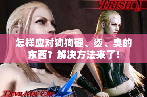 怎樣應(yīng)對(duì)狗狗硬、燙、臭的東西？解決方法來了！